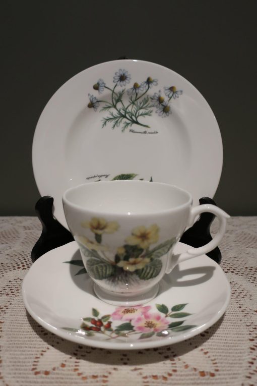 Stunning St George Bone China Trio In The Style Of Portmeirion