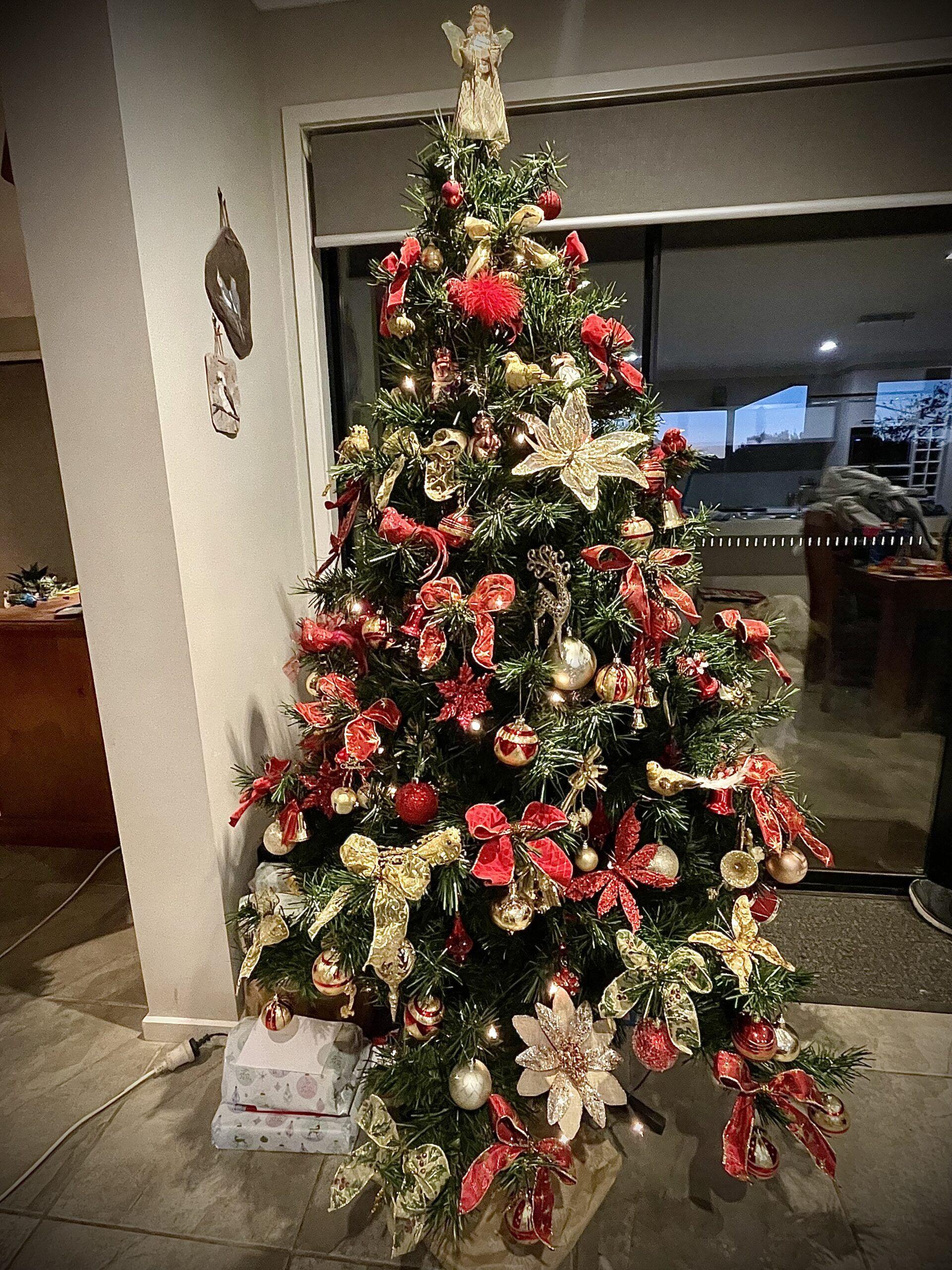 Merry Christmas