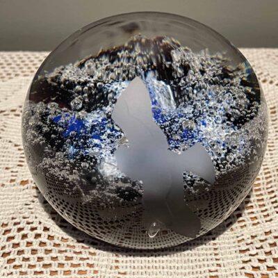 Caithness Scotland Limited Edition Black Headed Gull Paperweight In Original Box