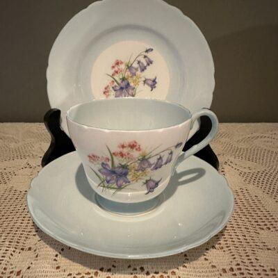 Vintage Shelley Wildflowers Trio In Blue