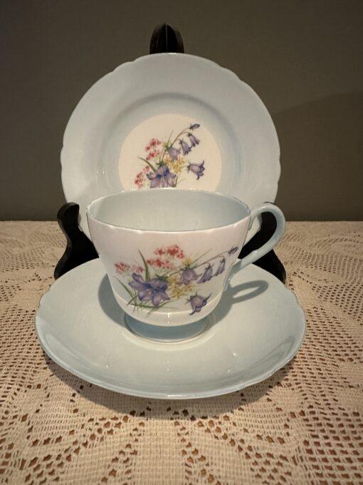 Vintage Shelley Wildflowers Trio In Blue
