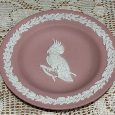 Wedgwood Jasper Ware Small Round Tray - Cockatoo - White On Pink - Limited Edition