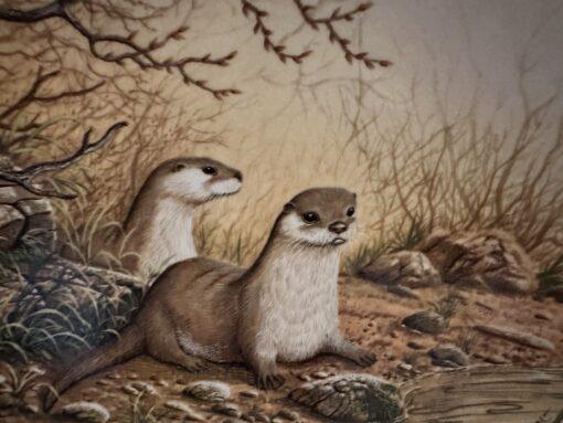 Royal Doulton Otter Pair On A River Bank Display Plate - W G Rollinson - Image 2