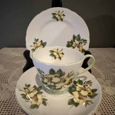 Rare Shelley Hibiscus Vintage Trio
