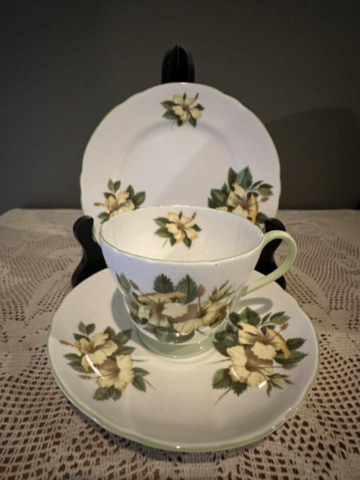 Rare Shelley Hibiscus Vintage Trio