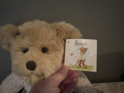 Rare Flora Forget Me Not Bear - Harrods Knightsbridge - Complete With Accessories And Tag - Image 3