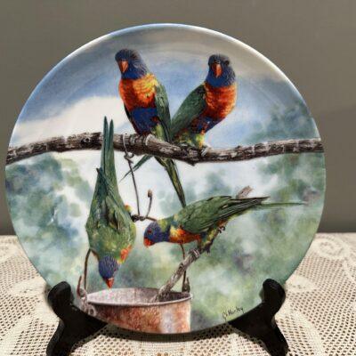 Lorikeet Display Plate - Gordon Hanley - Save Some For Us